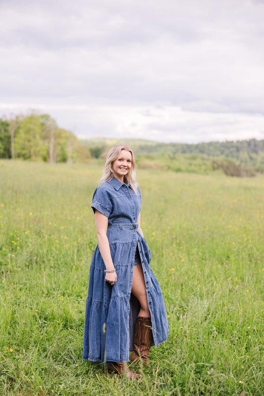 Jolene Denim Maxi Dress