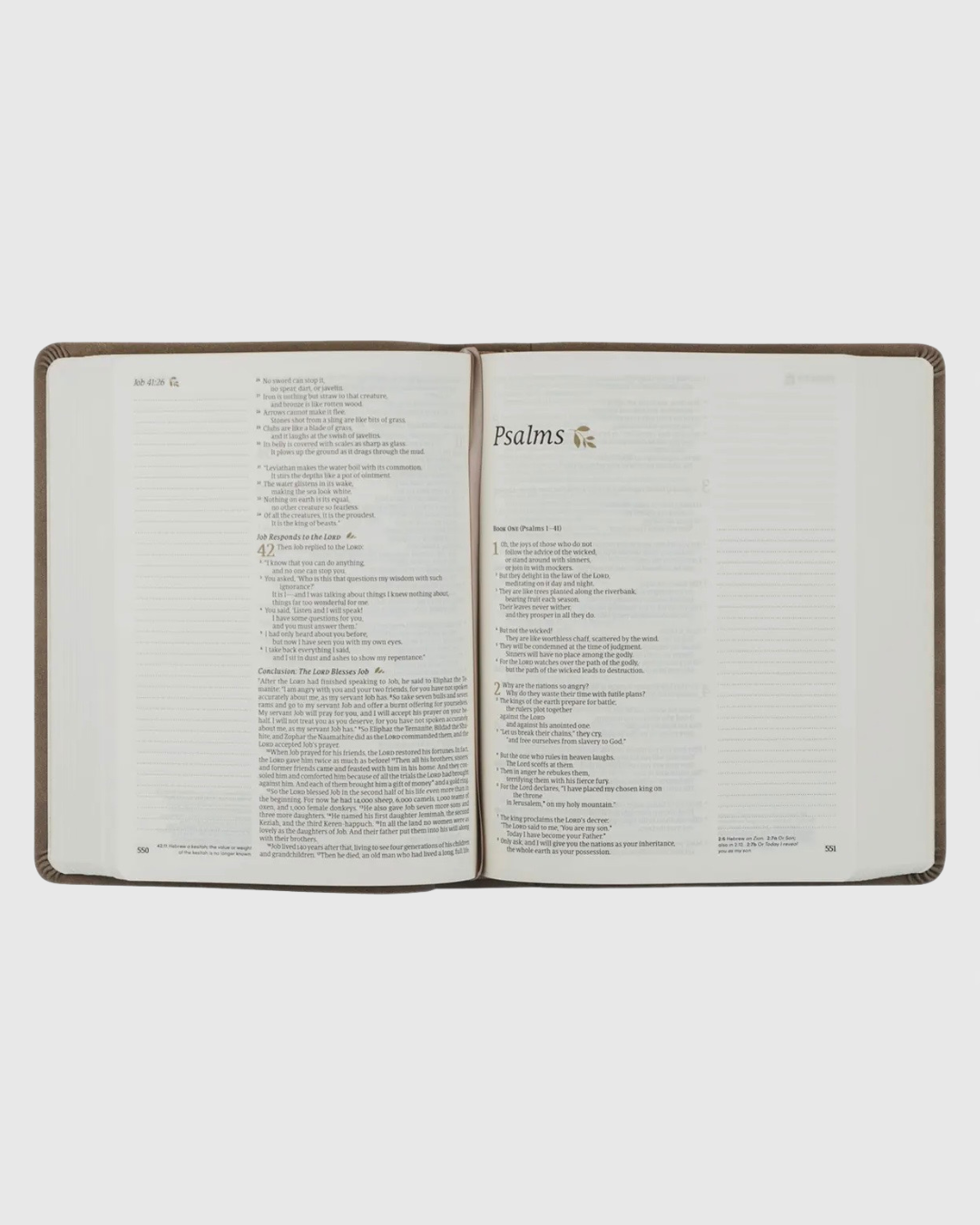 NLT Notetaking Bible: Marlo Theme