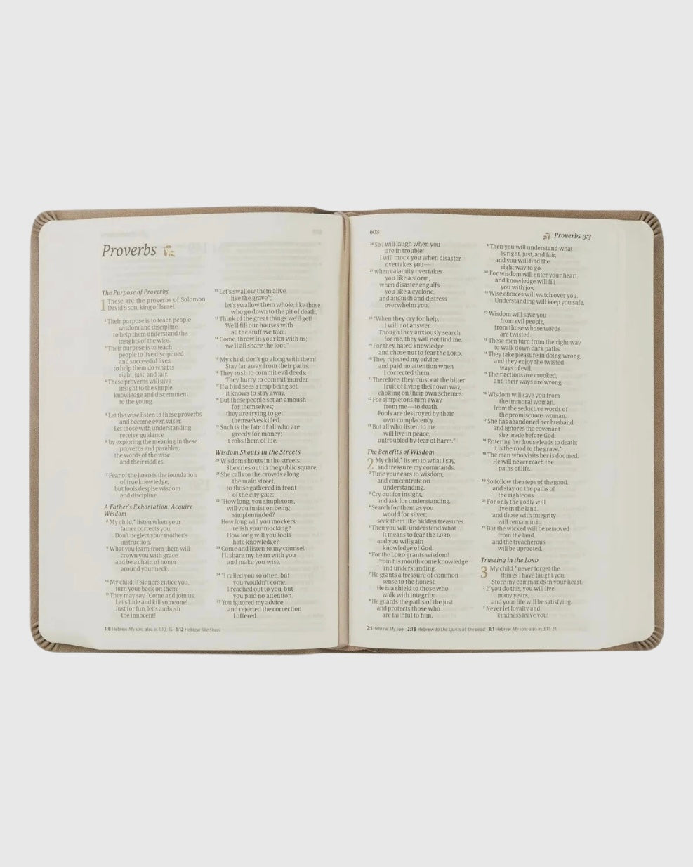 NLT Compact Bible: Marlo Theme