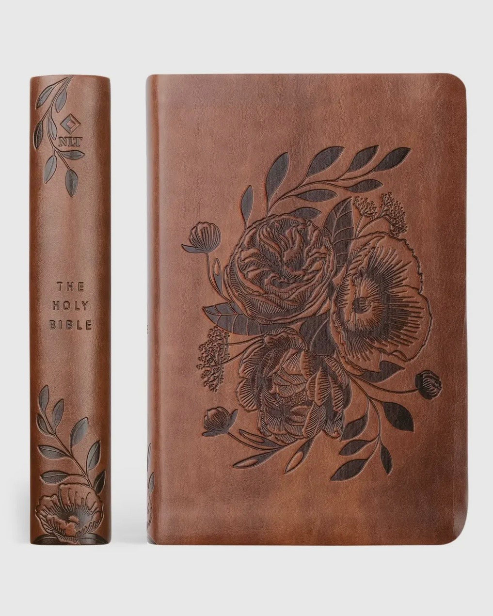 NLT Compact Bible: Aurora Theme