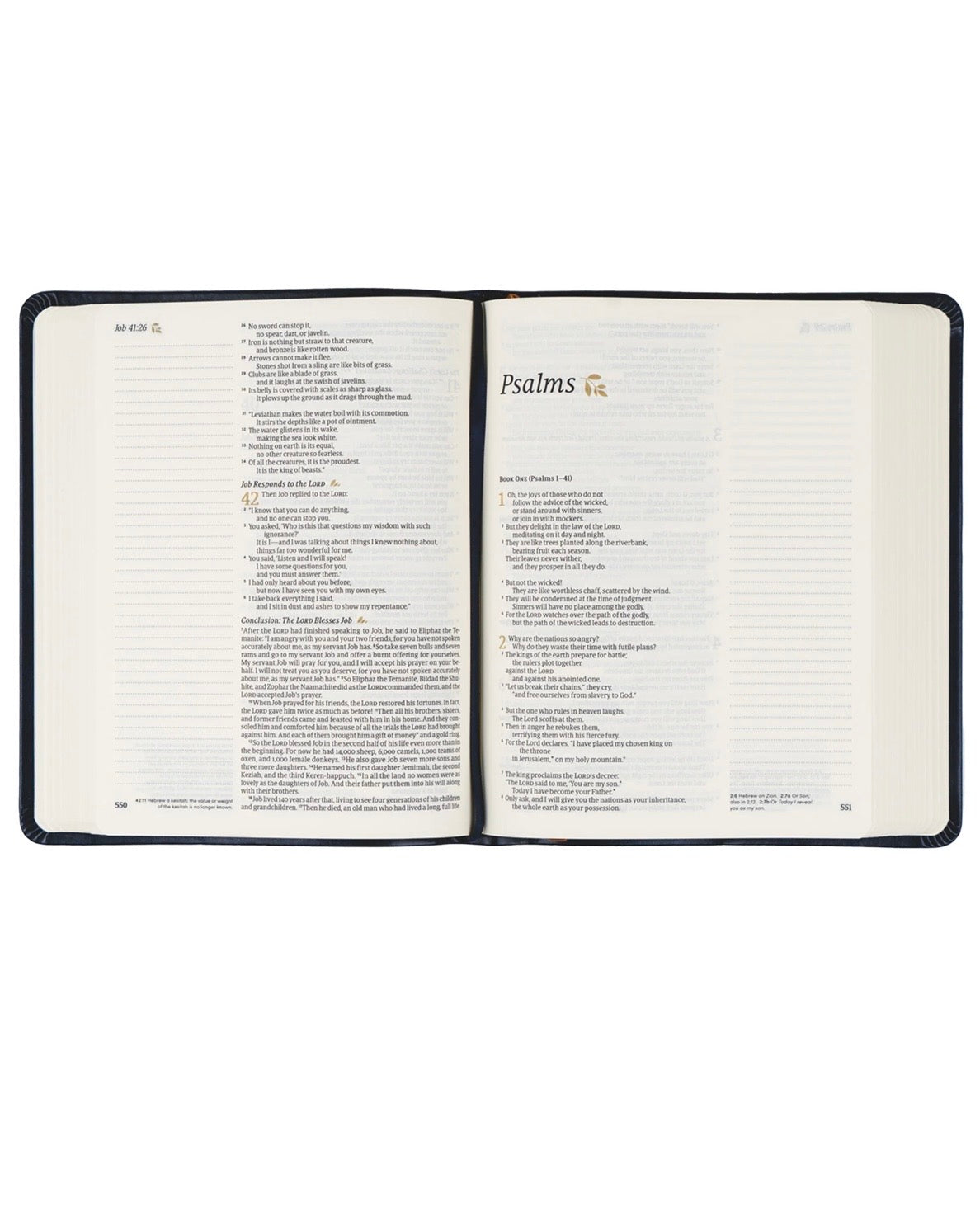 NLT Notetaking Bible: Versailles Theme