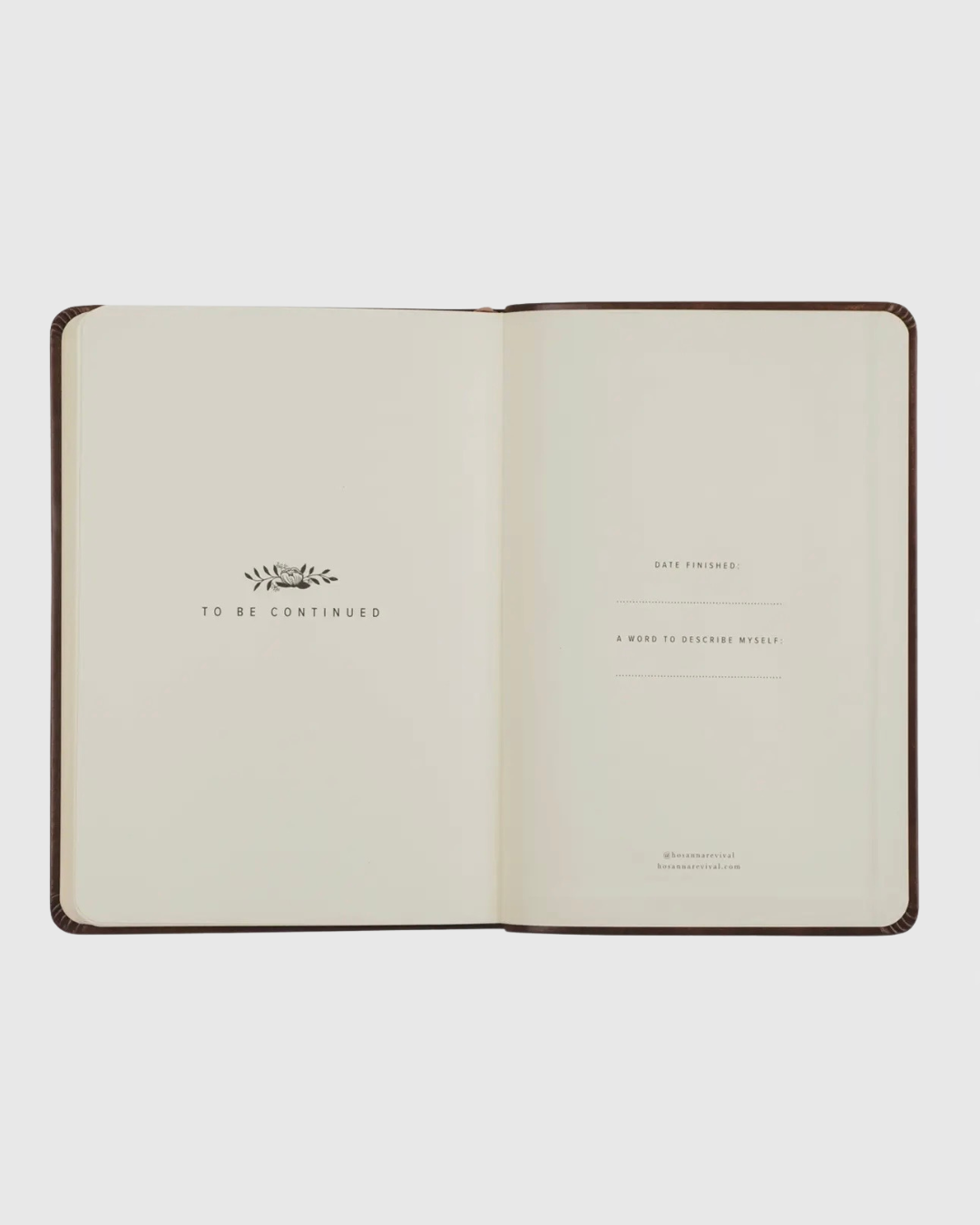 Hosanna Revival Notebook: Aurora Theme