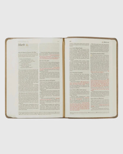 NLT Compact Bible: Marlo Theme