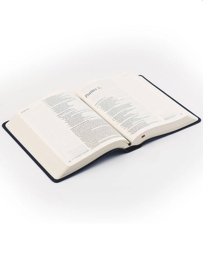 NLT Notetaking Bible: Versailles Theme