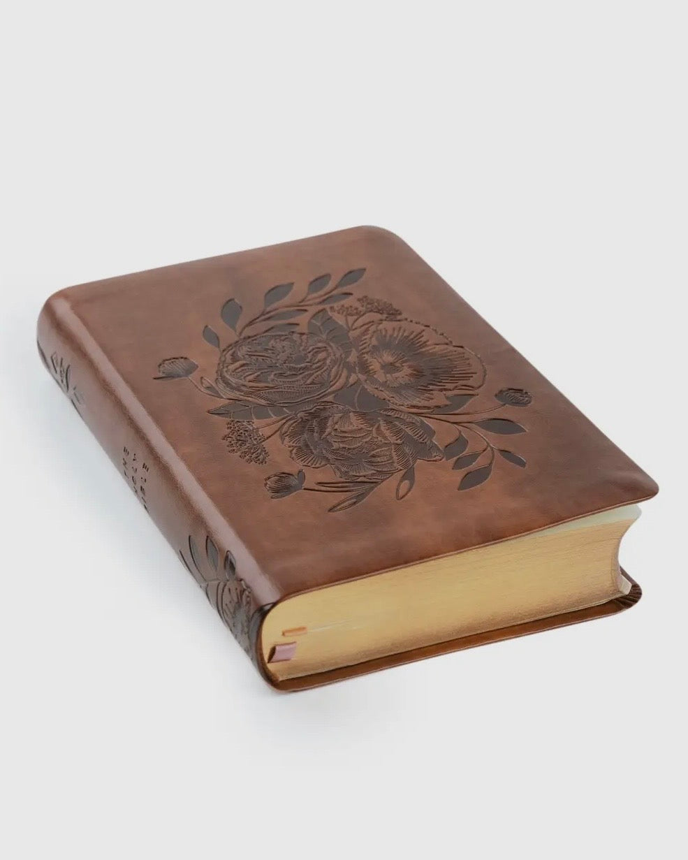 NLT Compact Bible: Aurora Theme