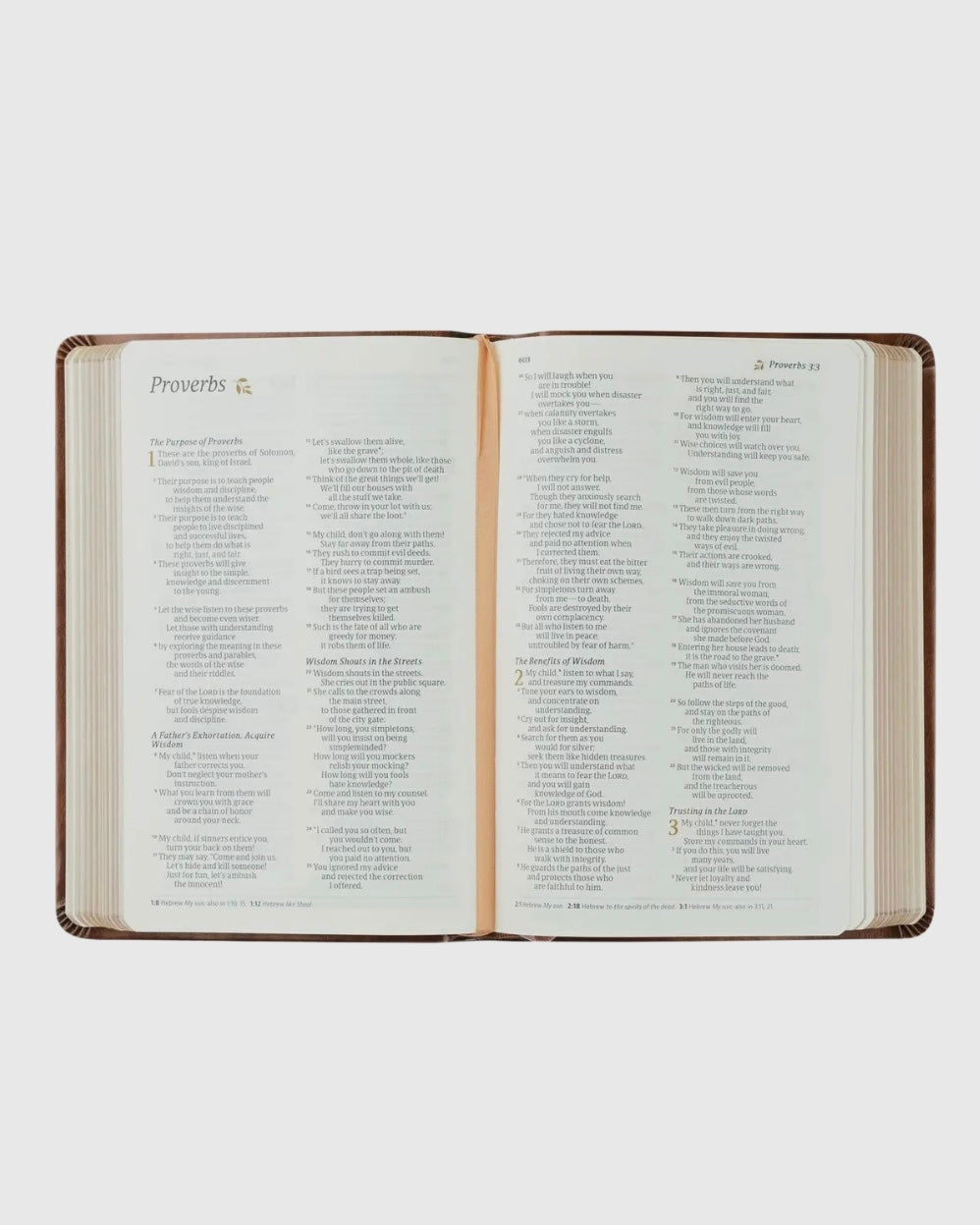 NLT Compact Bible: Aurora Theme