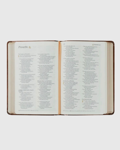 NLT Compact Bible: Aurora Theme