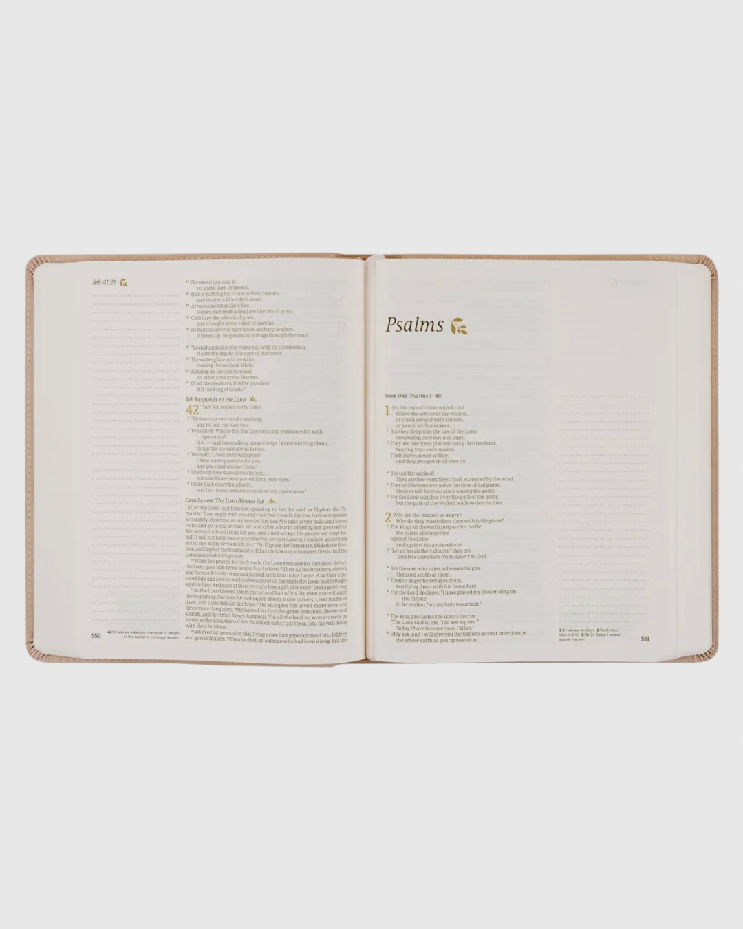 NLT Notetaking Bible: Shiloh Theme