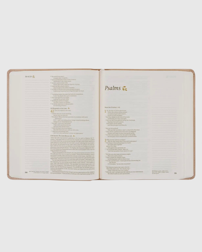 NLT Notetaking Bible: Shiloh Theme