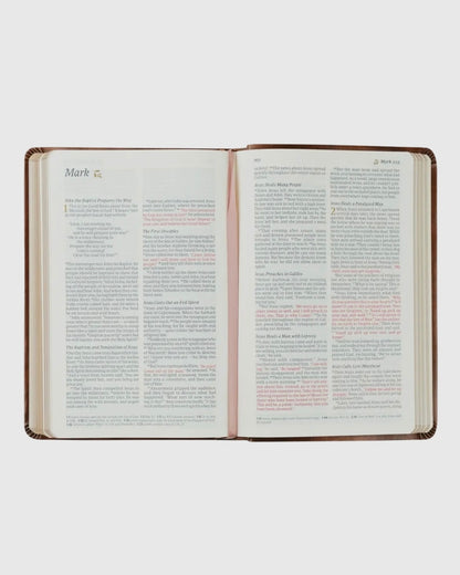 NLT Compact Bible: Aurora Theme