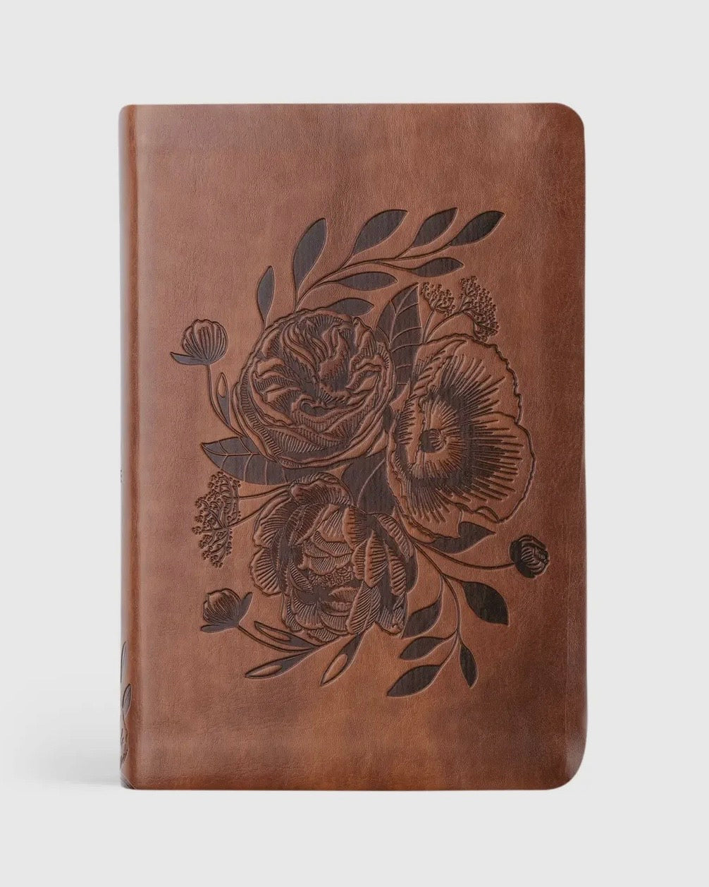 NLT Compact Bible: Aurora Theme